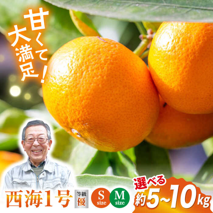 【年内配送/11月上旬より配送】【 訳あり 】西海1号 温州みかん 優品＜西海柑橘農業協同組合＞ [CCF002] みかん 柑橘 果物 訳あり 早生 甘い スイーツ ビタミン補給 ブランド みかん 年内配送 年内 規格外 不揃い