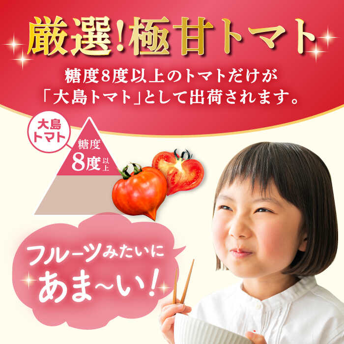 【ふるさと納税】高評価★4.89 今シーズンお届け！【糖度8度以上】 大島トマト 約3kg＜大島造船所農産G＞ [CCK005] 長崎 西海市 とまと トマト フルーツトマト 野菜 人気 贈答 ギフト プレゼント 高糖度 甘い 西海市 高糖度トマト 送料無料 フルーツトマト 贈答 トマト - 画像3