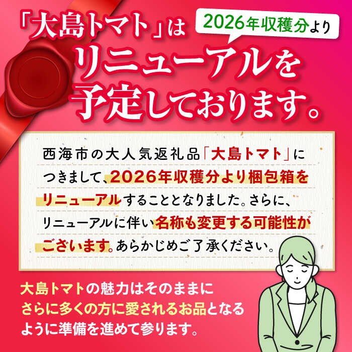 【ふるさと納税】【2026年2月より発送開始】【3回定期便】 大島トマト 3kg×3回＜大島造船所農産G＞ [CCK006] 長崎 西海 とまと トマト フルーツトマト 野菜 人気 贈答 ギフト プレゼント 高糖度 サムネイル2