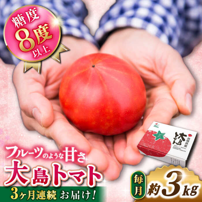 【2026年2月より発送開始】【3回定期便】 大島トマト 3kg×3回＜大島造船所農産G＞ [CCK006] 長崎 西海 とまと トマト フルーツトマト 野菜 人気 贈答 ギフト プレゼント 高糖度