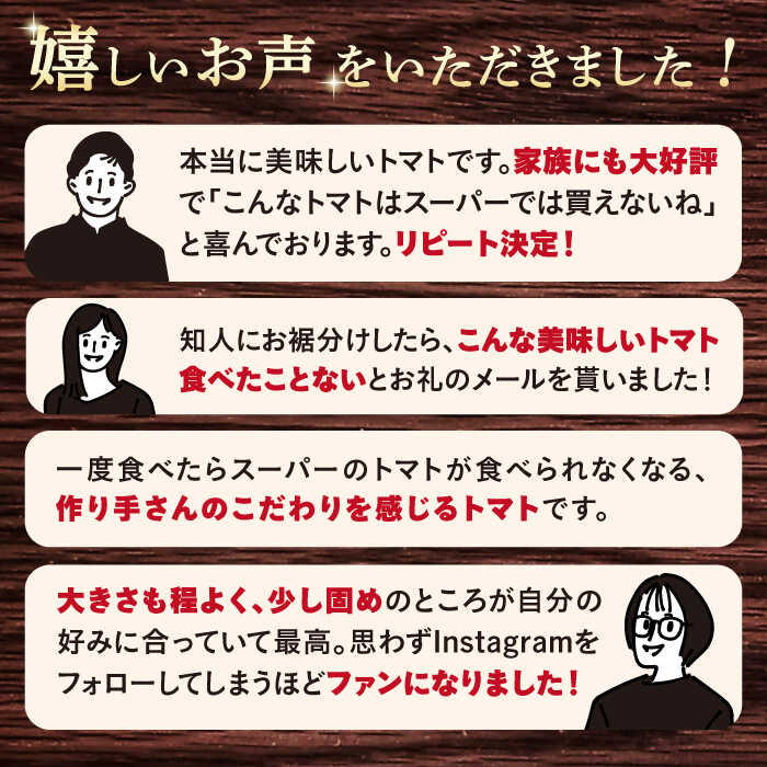 【ふるさと納税】【2026年収穫分先行予約】【糖度8度以上】【 訳あり 】 大島トマト 約1.8kg＜大島造船所農産G＞ [CCK007] 長崎 西海 とまと トマト フルーツトマト 野菜 人気 贈答 ギフト プレゼント 贈り物 高糖度 訳あり 不揃い サムネイル3