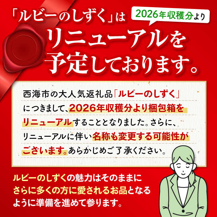 【ふるさと納税】【2026年収穫分先行予約】【 訳あり 】 大島トマト 特選「 ルビーのしずく 」約1.2kg＜大島造船所 農産グループ＞ [CCK025] 長崎 西海 とまと トマト フルーツトマト 野菜 人気 贈答 ギフト プレゼント 甘い 高糖度 訳あり 不揃い サムネイル2