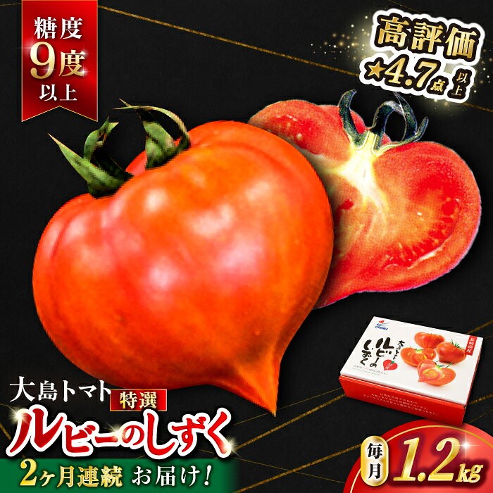 【2回定期便】今シーズンお届け！【特選】ルビーのしずく 約1.2kg＜大島造船所農産G＞ [CCK030] 長崎 西海 とまと トマト 送料無料 フルーツトマト 野菜 人気 贈答 ギフト プレゼント 高糖度 定期便 トマト 高糖度トマト