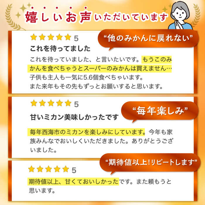 【ふるさと納税】【年内配送/11月下旬より配送】 原口みかん 約4kg or 約8kg（傷み保証分含む）＜川添みかん園＞ [CCT002] 西海 みかん 温州みかんミカン 蜜柑 果物 柑橘 デザート 剥きやすい 甘味 果汁 おやつ お土産 プレゼント 贈答 ギフト 甘い サムネイル2