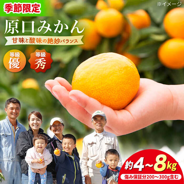 【年内配送/11月下旬より配送】 原口みかん 約4kg or 約8kg（傷み保証分含む）＜川添みかん園＞ [CCT002] 西海 みかん 温州みかんミカン 蜜柑 果物 柑橘 デザート 剥きやすい 甘味 果汁 おやつ お土産 プレゼント 贈答 ギフト 甘い