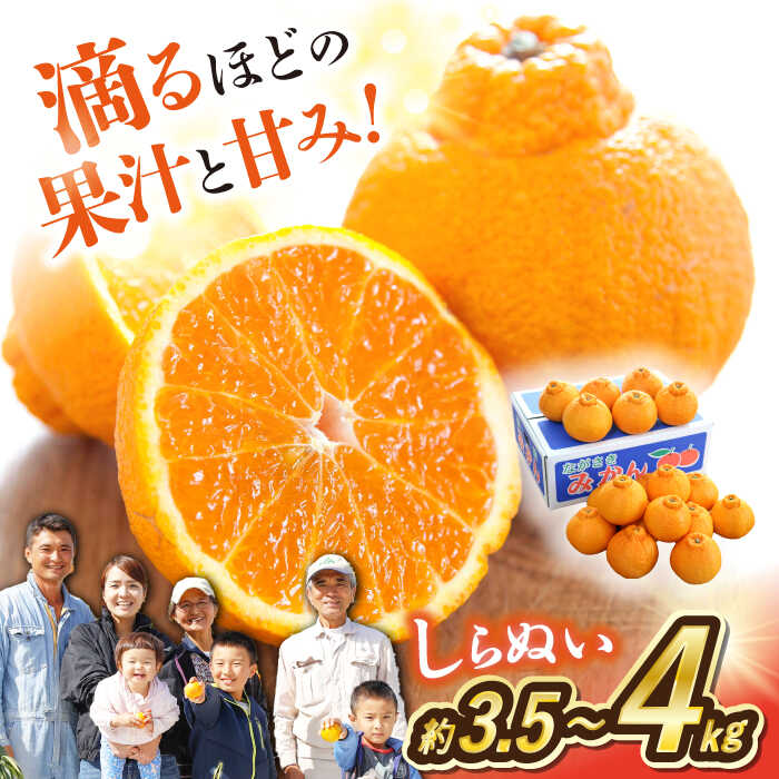 【3月より順次発送】【春柑橘】 不知火 （ しらぬい ）約3.5～4kg＜川添みかん園＞[CCT009] でこぽん デコポンミカン デコポン みかん ミカン 蜜柑 果物 柑橘 デザート 剥きやすい 甘味 果汁 おやつ お土産 プレゼント 贈答 ギフト 甘い