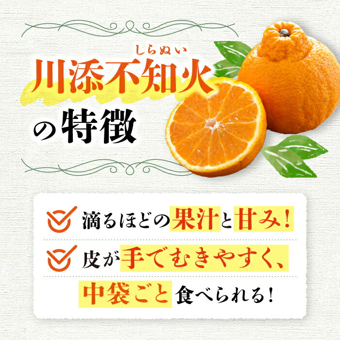 【ふるさと納税】【3月より順次発送】【春柑橘】 不知火 （ しらぬい ）約3.5～4kg＜川添みかん園＞[CCT009] でこぽん デコポンミカン デコポン みかん ミカン 蜜柑 果物 柑橘 デザート 剥きやすい 甘味 果汁 おやつ お土産 プレゼント 贈答 ギフト 甘い サムネイル3