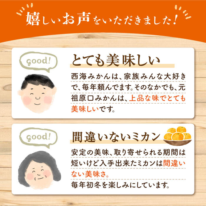 【ふるさと納税】《レビューキャンペーン開催中！》【11月下旬より順次発送】『元祖！』原口みかん 約5kg ＜原口果樹園＞ [CCW001] 長崎 西海 みかん ミカン 西海みかん 温州みかん 果物 フルーツ 先行予約 限定 甘い 贈答 ギフト サムネイル2