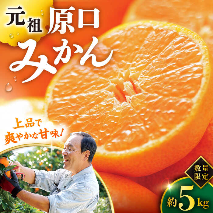 《レビューキャンペーン開催中！》【11月下旬より順次発送】『元祖！』原口みかん 約5kg ＜原口果樹園＞ [CCW001] 長崎 西海 みかん ミカン 西海みかん 温州みかん 果物 フルーツ 先行予約 限定 甘い 贈答 ギフト