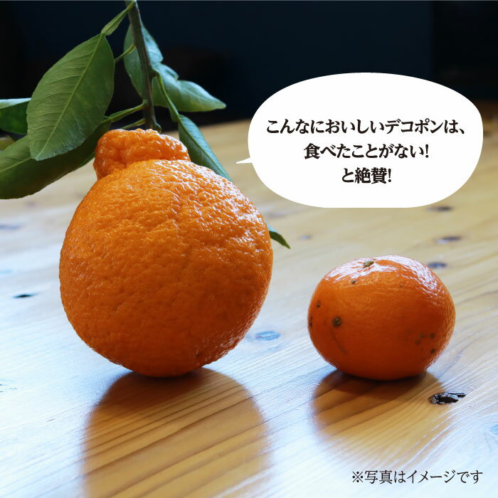 【ふるさと納税】【4月上旬より順次配送】【糖度13～15度】ハウス木成 完熟 デコポン 不知火 約3kg ＜原口果樹園＞[CCW005] 長崎 西海 みかん ミカン でこぽん 贈答 ギフト サムネイル3