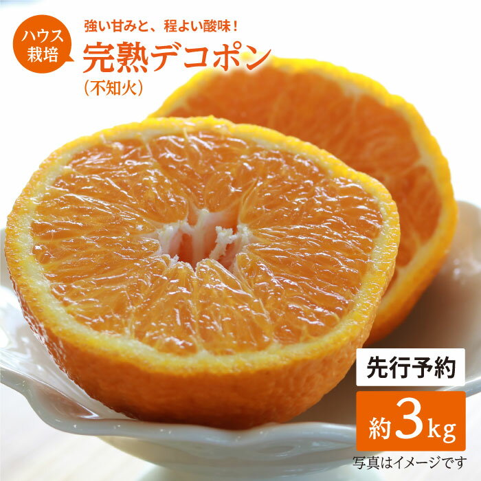 【4月上旬より順次配送】【糖度13～15度】ハウス木成 完熟 デコポン 不知火 約3kg ＜原口果樹園＞[CCW005] 長崎 西海 みかん ミカン でこぽん 贈答 ギフト