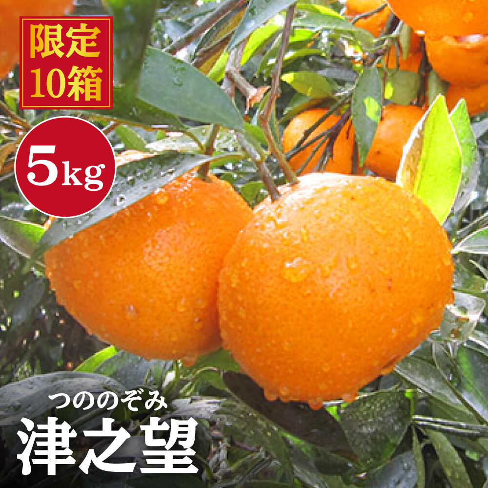 【1月上旬より順次配送】津之望（つののぞみ）約5kg＜原口果樹園＞[CCW009] 長崎 西海 みかん ミカン 柑橘 オレンジ 果物 フルーツ 贈答 ギフト
