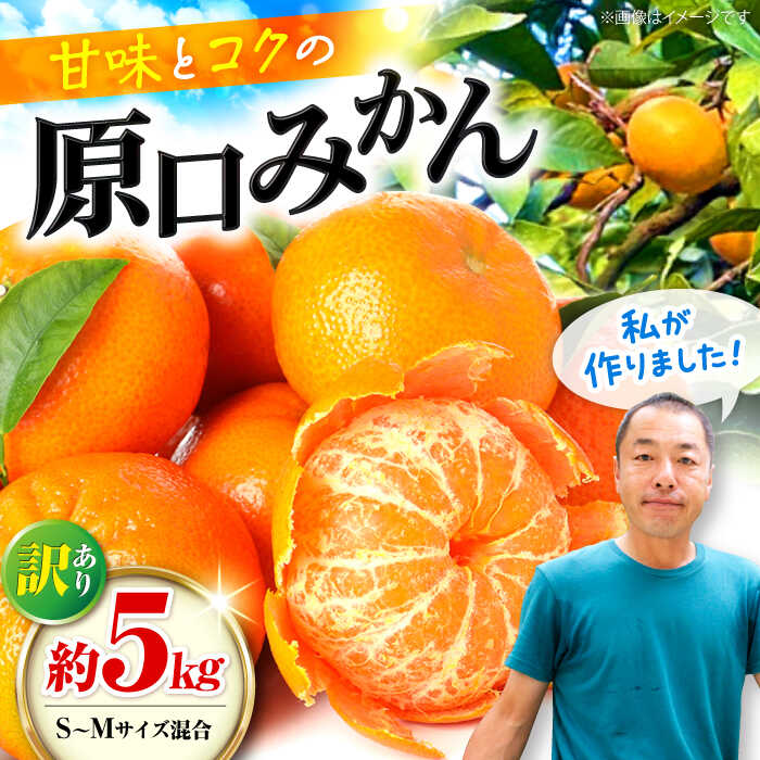 【年内配送】【訳あり】 原口みかん 約 5kg（S〜Mサイズ混合） ＜山田果樹園＞[CCX009] 長崎県 西海市 みかん ミカン 蜜柑 柑橘 みかん 温州みかん 訳あり 傷 みかん 産地直送 フルーツ 果実 果物 傷あり 不揃い あまい ビタミン 旬 10000円 5kg 家庭用