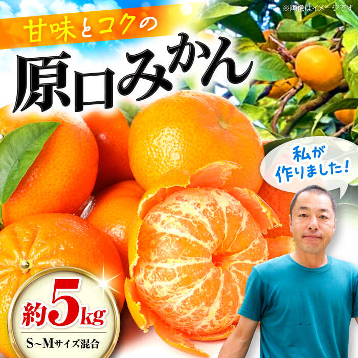 【年内配送】【贈答にも】 原口みかん 約 5kg（S〜Mサイズ混合） ＜山田果樹園＞ [CCX010] 長崎県 西海市 みかん ミカン 蜜柑 柑橘 みかん 温州みかん 贈答 みかん 産地直送 フルーツ 果実 果物 贈答用 あまい ビタミン 旬 5kg