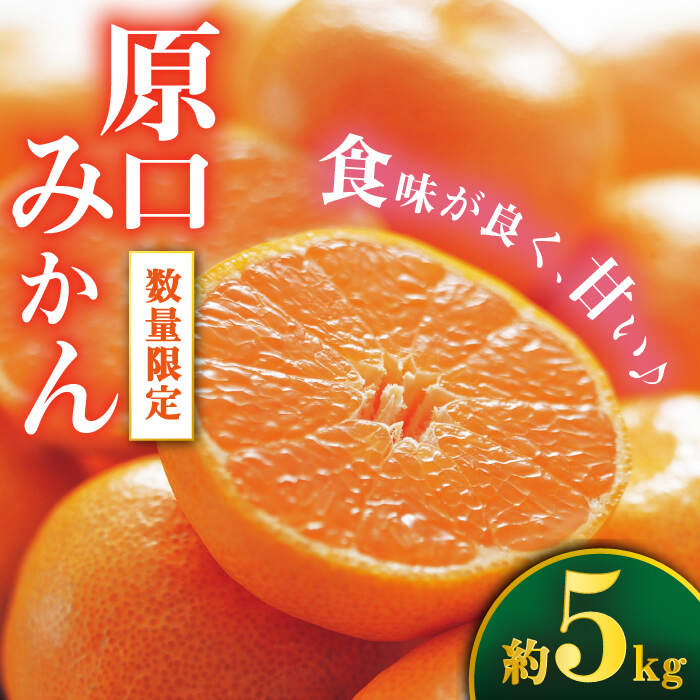 【年内配送/11月下旬より配送】 原口みかん 約5kg ＜Da・IWASAKI FARM＞ [CCZ004] 長崎 西海 みかん ミカン 蜜柑 柑橘 西海みかん 果物 フルーツ 贈答 プレゼント ギフト