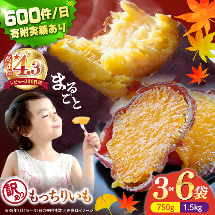 《レビューキャンペーン開催中！》【11月中旬より順次発送】【 訳あり 】まるごと もっちりいも 皮付き ＜大地のいのち＞ [CDA018] 干し芋 ほしいも さつまいも 紅はるか スイーツ おやつ 国産 お土産 お取り寄せ 小分け 不揃い 規格外 10000円 1万円