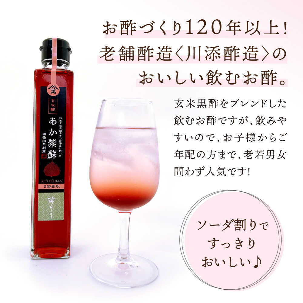 【ふるさと納税】【12回定期便】 【飲む玄米酢】酢らり 6種セット（5種＋ポン酢）＜川添酢造＞[CDN135] サムネイル2