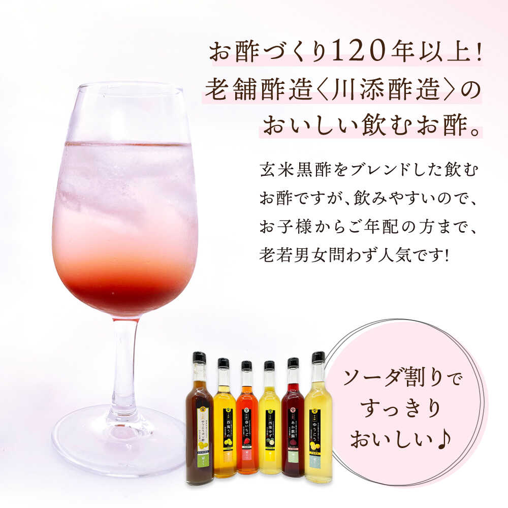 【ふるさと納税】【6回定期便】 【飲む玄米酢】酢らり 大瓶6種セット（5種＋ポン酢）＜川添酢造＞[CDN142] サムネイル2