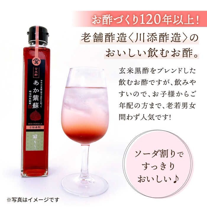 【ふるさと納税】【飲む玄米酢】酢らり 大瓶2本セット（あか紫蘇・西海うめ）＜川添酢造＞ [CDN028] 長崎 西海 飲む酢 酢 ビネガー 飲料 果実酢 お酢 ジュース 贈答 ギフト プレゼント 贈り物 お中元 お歳暮 サムネイル2