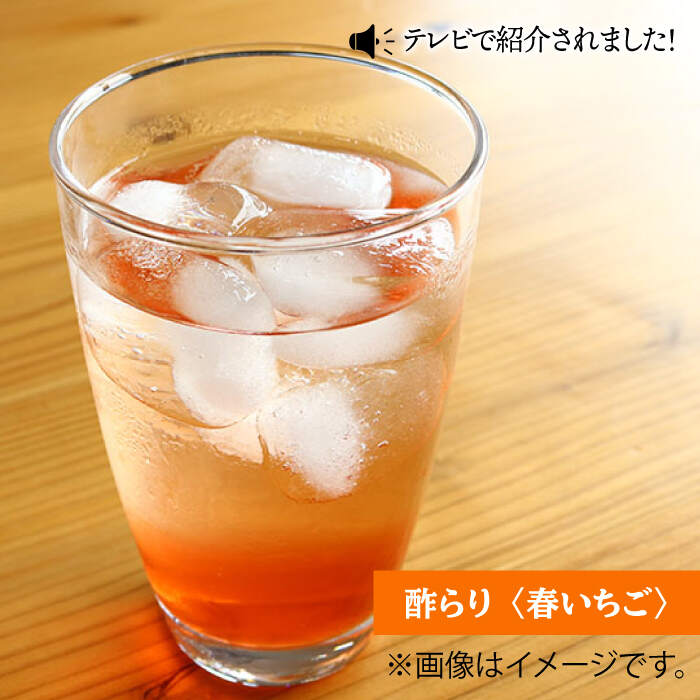 【ふるさと納税】【6回定期便】酢らり 大瓶（いちご・ゆうこう）総計12本＜川添酢造＞ [CDN036] サムネイル2