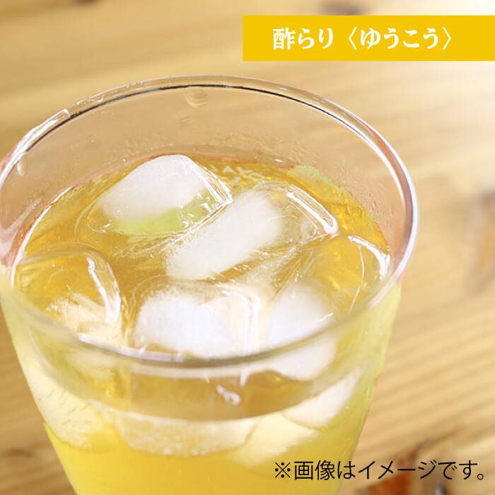 【ふるさと納税】【6回定期便】酢らり 大瓶（いちご・ゆうこう）総計12本＜川添酢造＞ [CDN036] サムネイル3