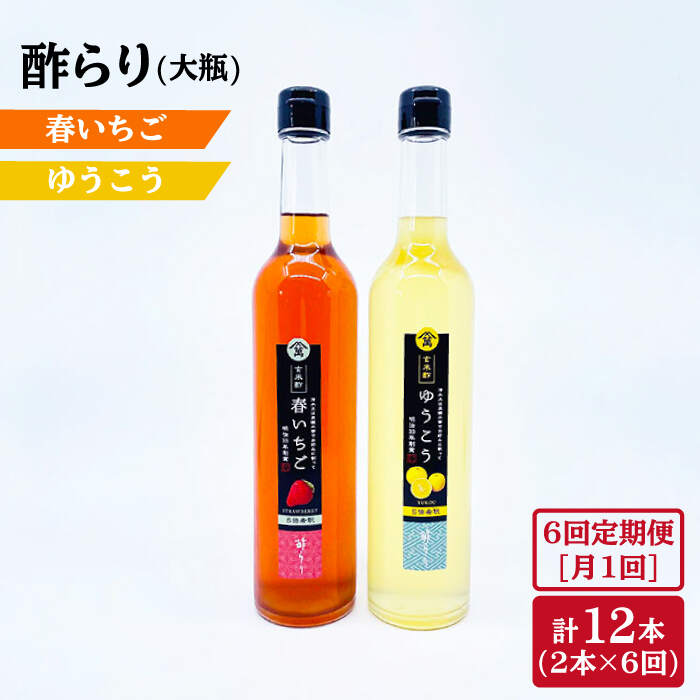 【6回定期便】酢らり 大瓶（いちご・ゆうこう）総計12本＜川添酢造＞ [CDN036]