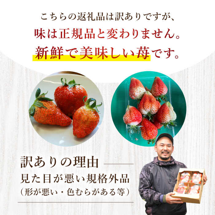 【ふるさと納税】【 訳あり 】【1月より順次発送】ゆめのか 1kg~3kg ＜川原農園＞ [CDR006] いちご イチゴ 苺 果物 フルーツ 甘い ご家庭用 1kg 2kg 3kg 不揃い 規格外 サムネイル2