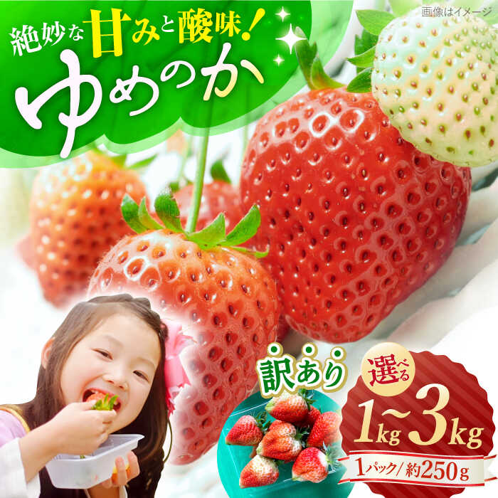 【 訳あり 】【1月より順次発送】ゆめのか 1kg~3kg ＜川原農園＞ [CDR006] いちご イチゴ 苺 果物 フルーツ 甘い ご家庭用 1kg 2kg 3kg 不揃い 規格外