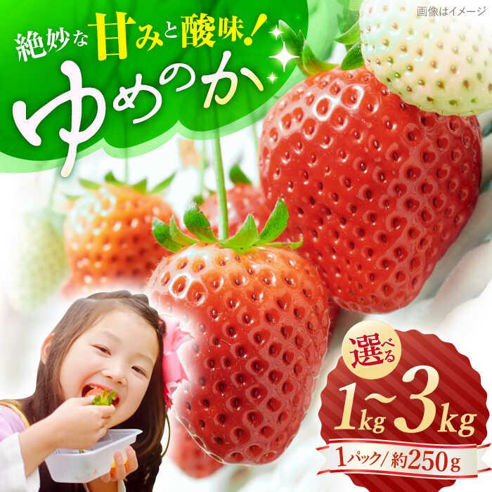 【1月より順次発送】【先行予約】 ゆめのか いちご 1kg~3kg ＜川原農園＞ [CDR010] いちご イチゴ 苺 果物 フルーツ 甘い 1kg 2kg ご家庭用