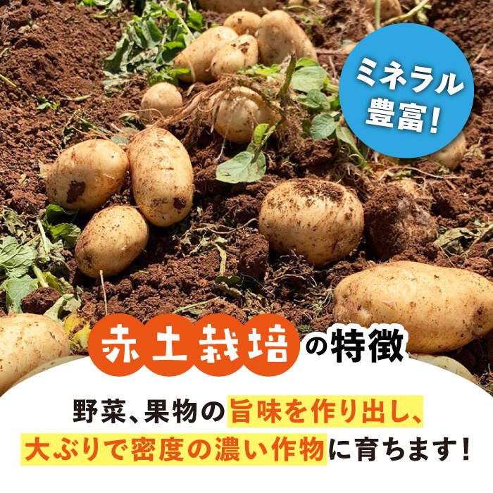 【ふるさと納税】【先行予約】【2026年5月下旬より順次発送】 西海市産 じゃがいも 約 10kg ＜ファームまるだ＞ [CDT002] 長崎 西海 ジャガイモ 芋 いも ポテト 新鮮 野菜 産地直送 - 画像2