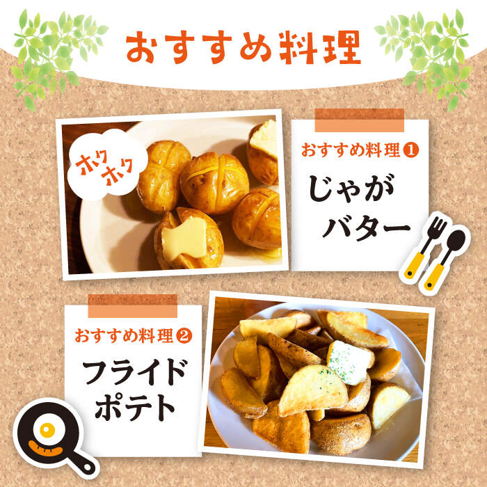 【ふるさと納税】【先行予約】【2026年5月下旬より順次発送】 西海市産 じゃがいも 約 10kg ＜ファームまるだ＞ [CDT002] 長崎 西海 ジャガイモ 芋 いも ポテト 新鮮 野菜 産地直送 - 画像3