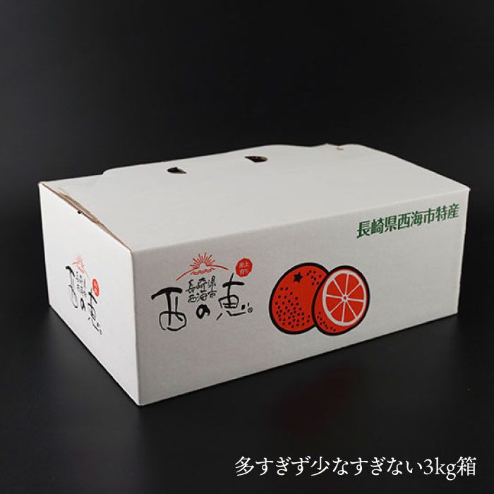 【ふるさと納税】【先行予約☆贈答にもオススメ】「西の恵」 原口みかん 約 3kg＜ファームまるだ＞ [CDT005] 長崎県 西海市 みかん ミカン 柑橘 フルーツ 西海 オレンジ 果物 ミカン 贈答 ギフト フルーツ 果実 甘い あまい デザート 新鮮 産地直送 くだもの ギフト サムネイル3