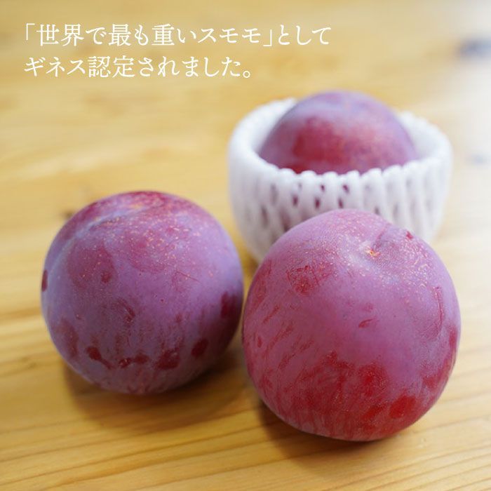 【ふるさと納税】【6月下旬より発送開始】【プラムの王様】 貴陽 (きよう) 約2kg (13~15玉) ＜竹嶋農園＞ [CEB002] 長崎 西海 プラム すもも 果物 フルーツ 桃 贈答 ギフト プレゼント - 画像2