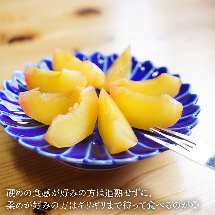 【ふるさと納税】【6月下旬より発送開始】【プラムの王様】 貴陽 (きよう) 約2kg (13~15玉) ＜竹嶋農園＞ [CEB002] 長崎 西海 プラム すもも 果物 フルーツ 桃 贈答 ギフト プレゼント - 画像3