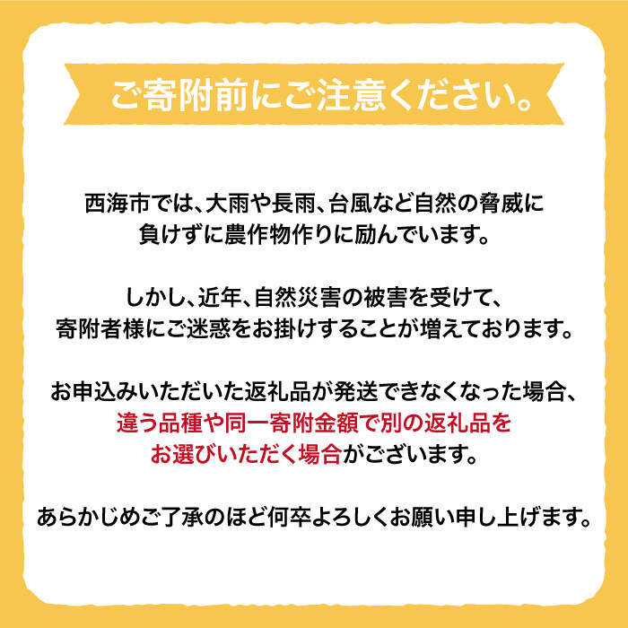 【ふるさと納税】【数量限定】【もぎたて新鮮】原口みかん 約5kg＜中尾果樹園＞ [CEL001] みかん 蜜柑 ミカン 西海みかん 温州みかん 果物 フルーツ 贈答 ギフト プレゼント 甘い ジューシー サムネイル2