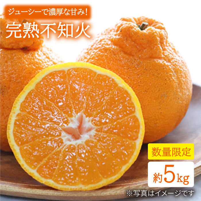 【3月下旬より順次発送】【贈答用にも☆】 屋根かけ完熟 不知火 約5kg ＜中尾果樹園＞ [CEL003] 長崎 西海 ミカン 蜜柑 果物 フルーツ 柑橘 デザート 完熟 果汁 おやつ お土産 プレゼント 贈答 でこぽん デコポン