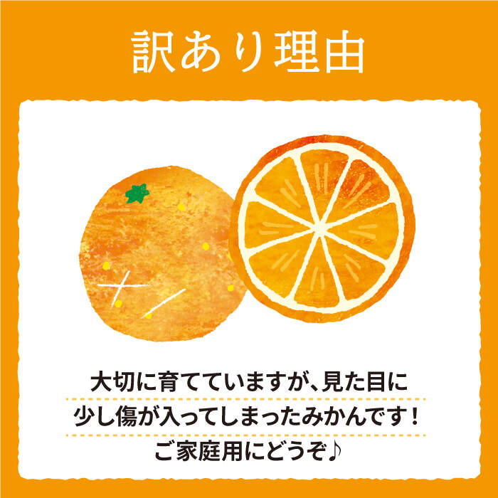 【ふるさと納税】【数量限定】【 訳あり 】 石地みかん 約5kg＜中尾果樹園＞ [CEL006] みかん 蜜柑 ミカン 西海みかん 温州みかん 果物 フルーツ 贈答 ギフト プレゼント 甘い ジューシー サムネイル2