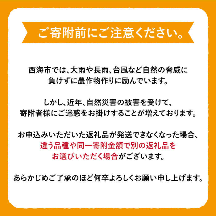 【ふるさと納税】【数量限定】【 訳あり 】 石地みかん 約5kg＜中尾果樹園＞ [CEL006] みかん 蜜柑 ミカン 西海みかん 温州みかん 果物 フルーツ 贈答 ギフト プレゼント 甘い ジューシー サムネイル3
