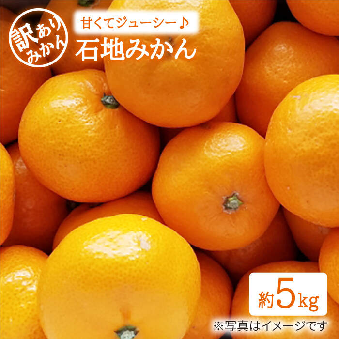 【数量限定】【 訳あり 】 石地みかん 約5kg＜中尾果樹園＞ [CEL006] みかん 蜜柑 ミカン 西海みかん 温州みかん 果物 フルーツ 贈答 ギフト プレゼント 甘い ジューシー