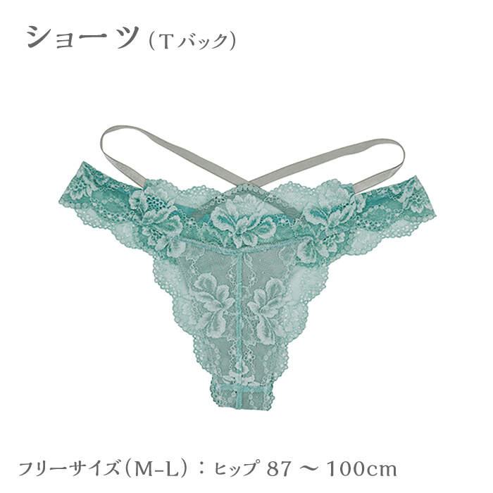 【ふるさと納税】【履き心地もデザインも】ショーツ単品 Tバック Turquoise blue ターコイズブルー ＜株式会社Jubilee＞ [CEY052] サムネイル2