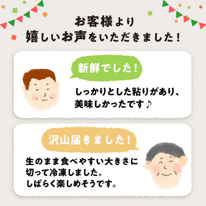 【ふるさと納税】【先行予約】朝採れ直送 オクラ 約500g~計2kg ＜パッパラパー農園＞ [CFI001] おくら 野菜 夏野菜 新鮮 産地直送 採れたて とれたて サラダ 長崎 西海市 夏野菜 - 画像2