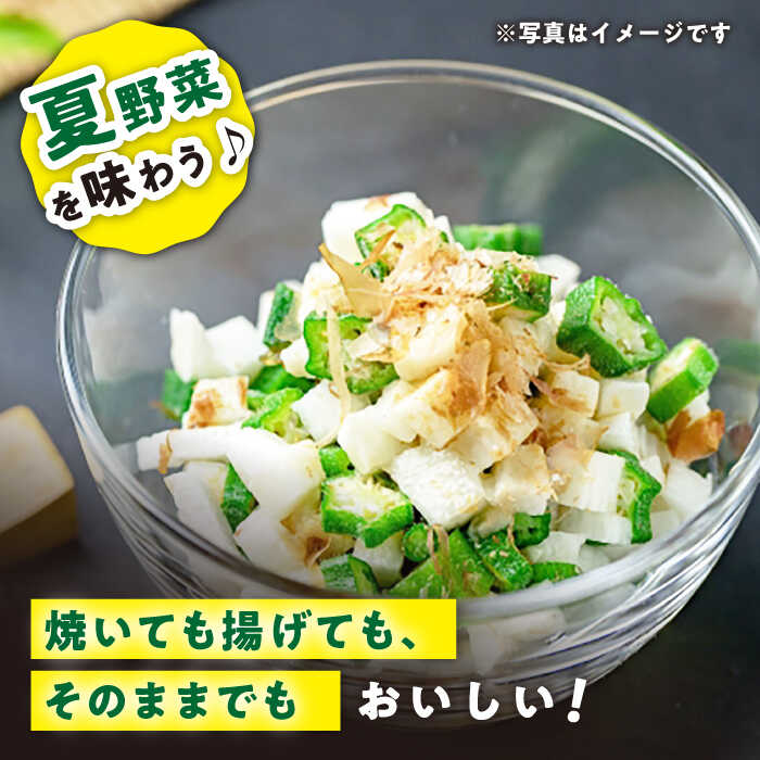 【ふるさと納税】【先行予約】朝採れ直送 オクラ 約500g~計2kg ＜パッパラパー農園＞ [CFI001] おくら 野菜 夏野菜 新鮮 産地直送 採れたて とれたて サラダ 長崎 西海市 夏野菜 - 画像3