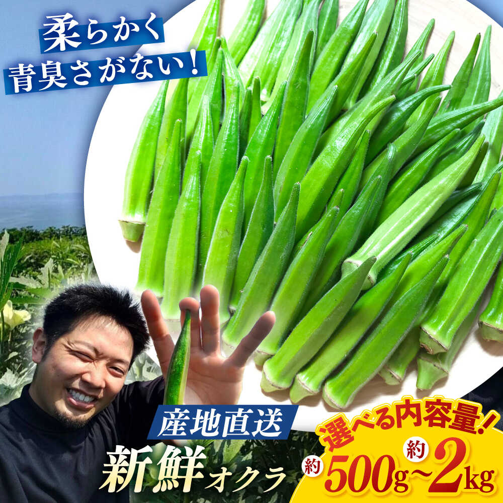 【先行予約】朝採れ直送 オクラ 約500g~計2kg ＜パッパラパー農園＞ [CFI001] おくら 野菜 夏野菜 新鮮 産地直送 採れたて とれたて サラダ 長崎 西海市 夏野菜