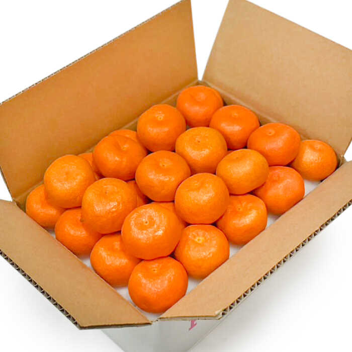 【ふるさと納税】【高島屋選定品】【九州屋】【先行予約】味ロマン3kg（L～2Lサイズ）＜高島屋＞[CFQ057] みかん ミカン 蜜柑 柑橘 高糖度 甘い 高品質 ブランド 九州屋 高島屋 サムネイル2