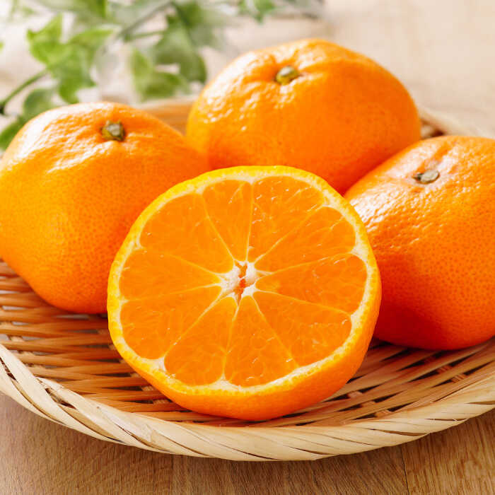 【ふるさと納税】【高島屋選定品】【九州屋】【先行予約】味ロマン3kg（L～2Lサイズ）＜高島屋＞[CFQ057] みかん ミカン 蜜柑 柑橘 高糖度 甘い 高品質 ブランド 九州屋 高島屋 サムネイル3