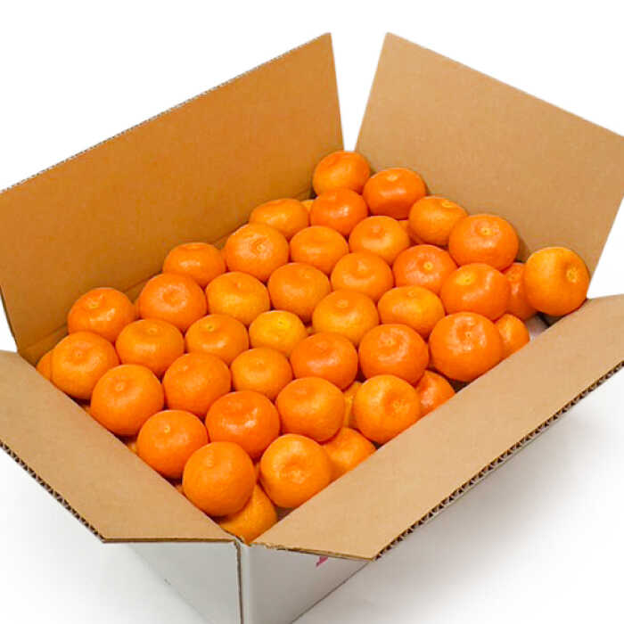 【ふるさと納税】【高島屋選定品】【九州屋】【先行予約】味ロマン5kg（S～Mサイズ）＜高島屋＞[CFQ058] みかん ミカン 蜜柑 柑橘 高糖度 甘い 高品質 ブランド 九州屋 高島屋 サムネイル2