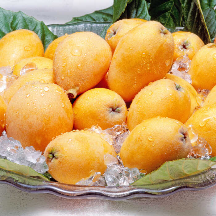 【ふるさと納税】【 高島屋 選定品】【4月中旬より順次発送】【九州屋】 茂木 びわ 400g（ Lサイズ 12粒入）＜高島屋＞[CFQ060] びわ ビワ 琵琶 果物 フルーツ 大粒 Lサイズ 贈答 ギフト プレゼント 九州屋 高島屋 旬 長崎 サムネイル2