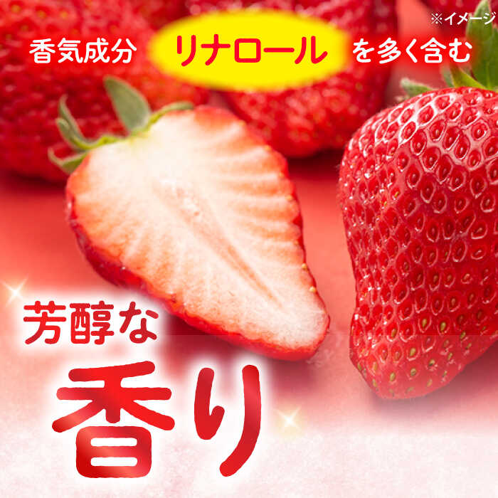 【ふるさと納税】【先行予約】【1月より順次発送】西海市産 いちご 「かおりの」計1～3kg ＜武藤農園＞[CFV001] 長崎県 西海市 イチゴ いちご 贈答 ギフト いちご 大粒 果物 フルーツ かおりの 果実 甘い イチゴ ストロベリー あまい デザート 新鮮 産地直送 くだもの 苺 サムネイル2