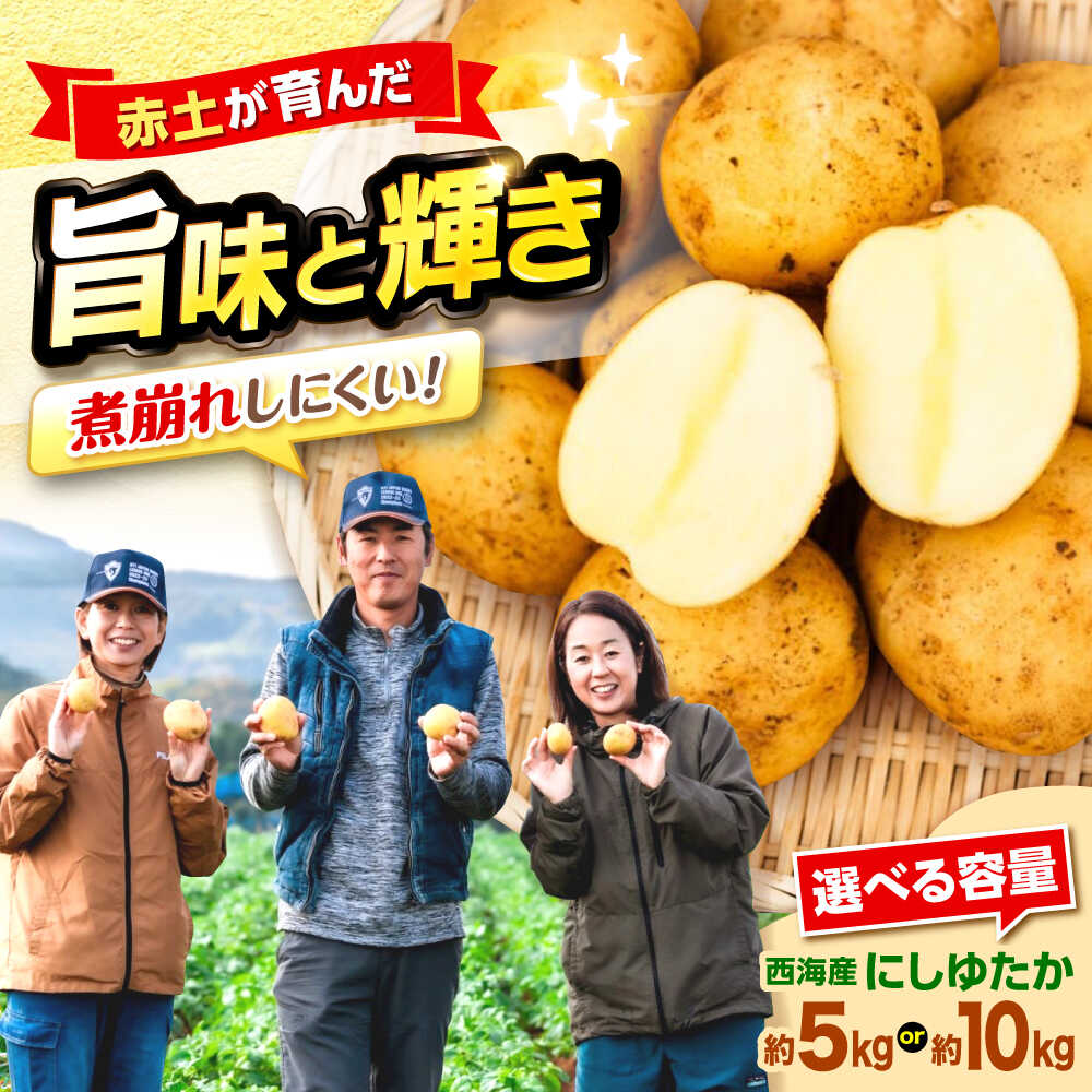 【先行予約】勝田農園の満々 じゃがいも にしゆたか 約5kg or 約10kg（M〜Lサイズ混合）＜勝田農園＞[CGM001] 西海市 ニシユタカ 西豊 ポテト 新じゃがいも 長崎県産 じゃがいも 販売