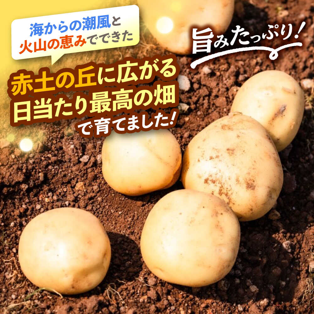 【ふるさと納税】 【先行予約】勝田農園のおまかせ じゃがいも 約5kg・約10kg（種類・サイズ混合）＜勝田農園＞[CGM003] おまかせじゃがいも サイズ混合 詰め合わせ ジャガイモ 食べ比べ 野菜 産地直送 - 画像2